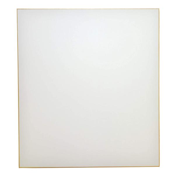 大色紙 画仙紙 特上 ドーサ引 10枚 242×273mm 「書道 水彩画 水墨画 貼り絵 サイン 寄せ書き」