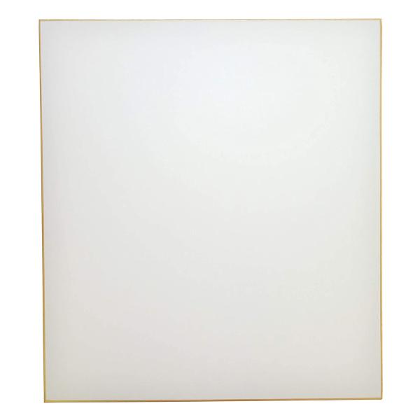 大色紙 画仙紙 極上 ドーサ引 10枚 242×273mm 「書道 水彩画 水墨画 貼り絵 サイン 寄せ書き」