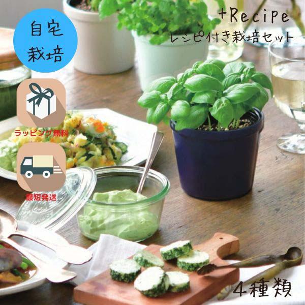 栽培キット 家庭菜園 おうち菜園 レシピ付き インテリアグリーン ギフト おしゃれ かわいい +Recipe 体験型ギフト