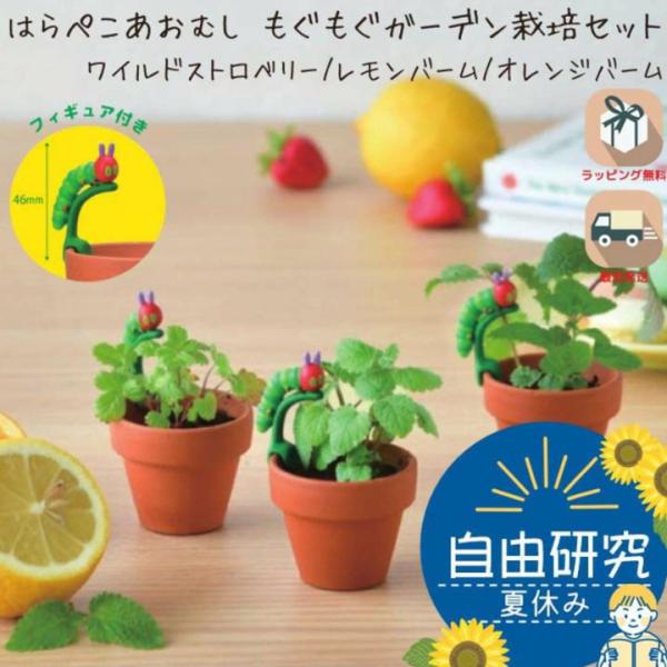 たりあさま専用 ワイルドストロベリー ミニチュア トリオ 2組セット