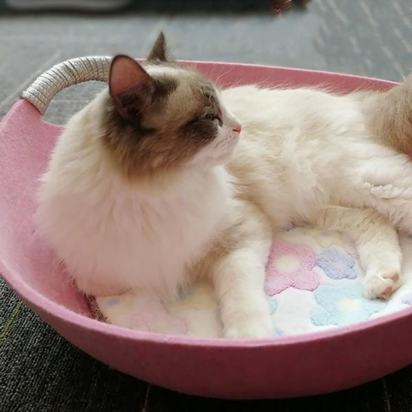 送料無料 ペットベッド 猫用 犬用 ペット用品 丸い 使い勝手の良い シンプル 秋冬 室内 持ち手付き あったかい 円形