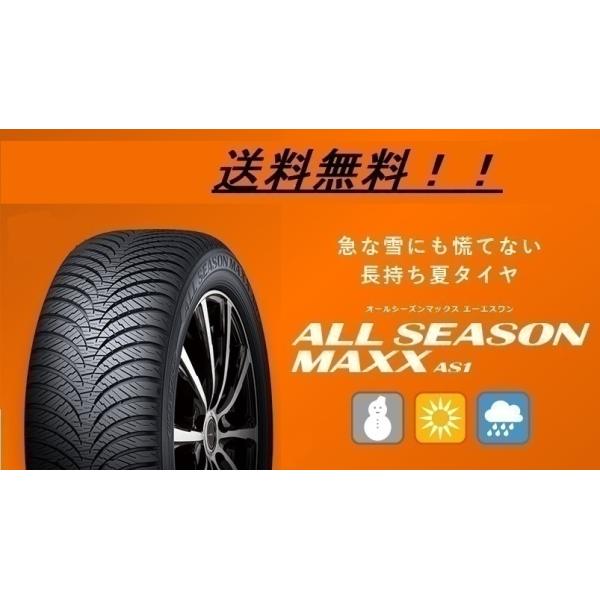 145/80R13 75S _bv I[V[Y^C ALL SEASON MAXX AS1 ([J[񂹏i)