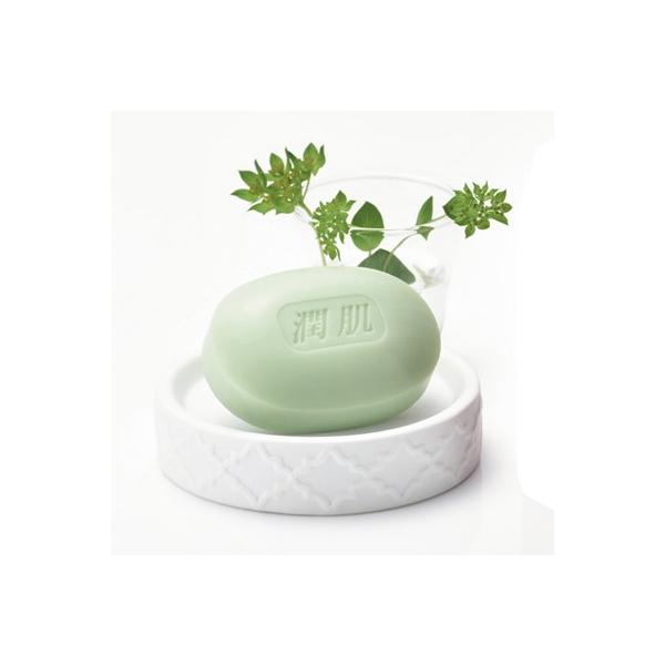 {Ńj[AIwNΌi񂫂jxԂAq̂̕߂ɁItJێƐɗDꂽΌioj