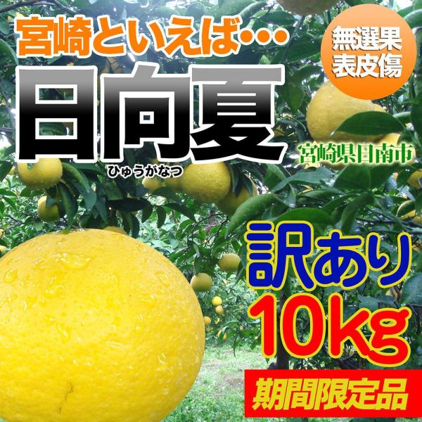 󂠂 10kg {茧s蒼@Hƒp