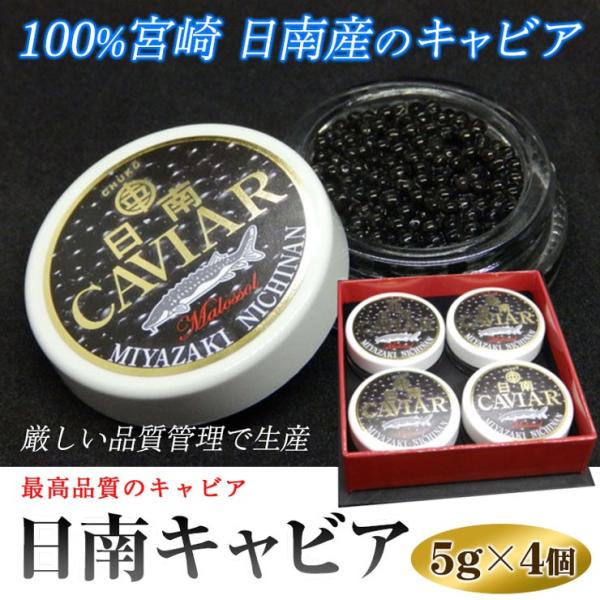 ギフト用　自宅用に　日南キャビア 5g×4個セット 小分けで便利 100%宮崎県日南産 無添加で濃厚な国産キャビア 大切な方へのプレゼントに喜ばれます