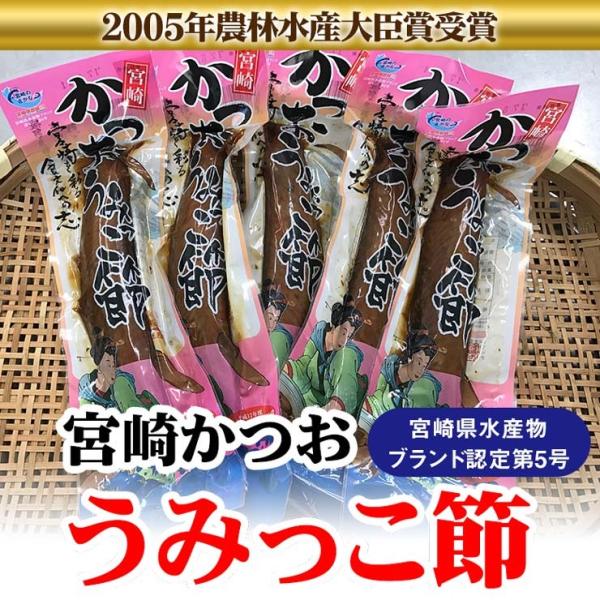 宮崎かつおうみっこ節　L 1袋1本 約130g　宮崎県水産ブランド認定　贈りものギフトに　日南市漁協女性部　冷蔵発送