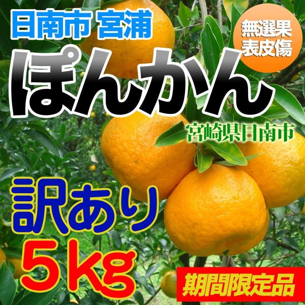 󂠂 {Yۂ񂩂 ƒpɂ5kg {茧s@2025N12{