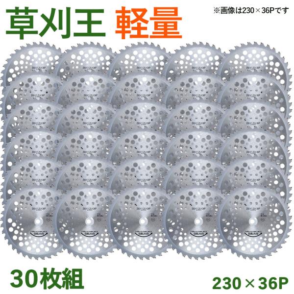 30枚組】 草刈王 軽量タイプ チップソー バクマ工業 BAKUMA 230×36P 外