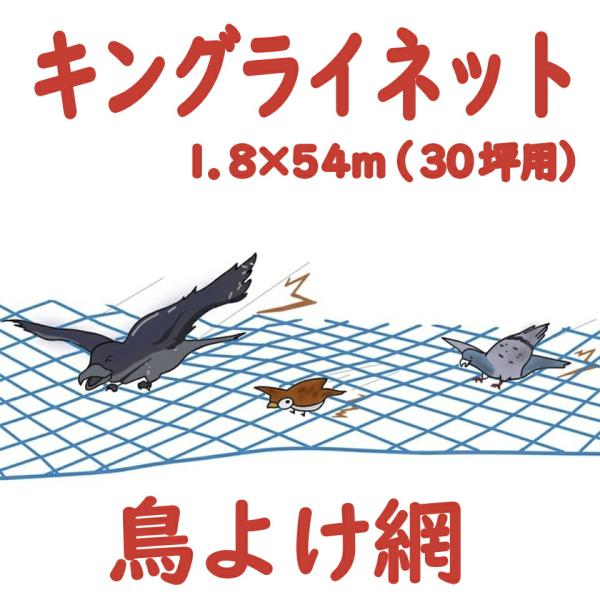 モモイ 桃井製網 キングラインネット 鳥よけ網 防鳥ネット 防鳥網 鳥よけ 獣害ネット 獣害対策 カラス スズメ ムクドリ 強力ポリエチレン 1.8×54m 30坪用