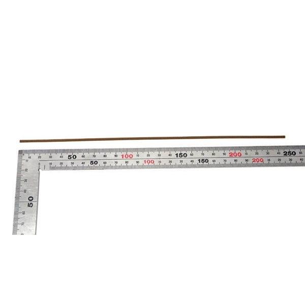 nichirin_ume-0005_2_d_20240916144817