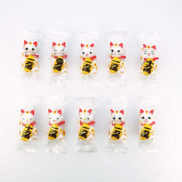 ܂˂˂  `R{[i500gjʉَq ܂Ƃߔ `R[g َq Ɩp ii q