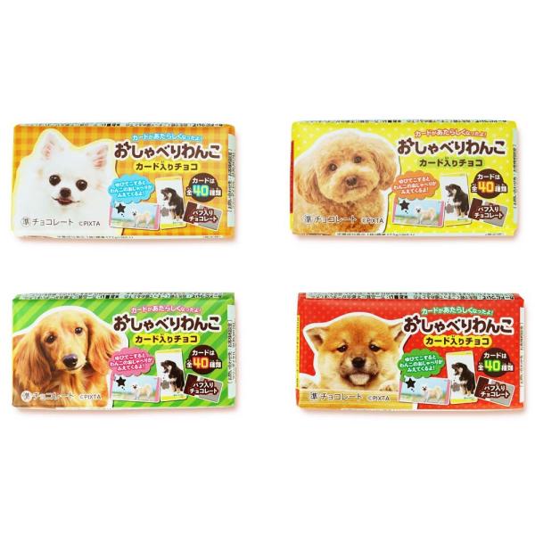 k【秋・冬限定】正栄デリシィ おしゃべりわんこ クランチ チョコレート