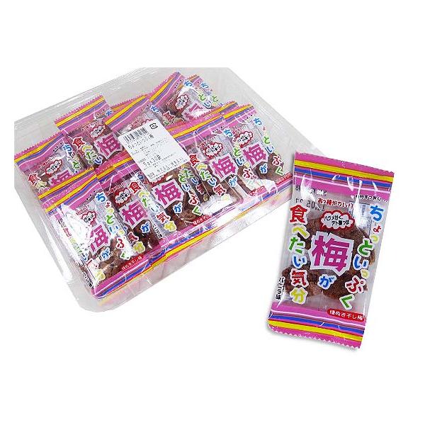  ƂՂ ~i30j ~ ʉَq ii ̑i pi