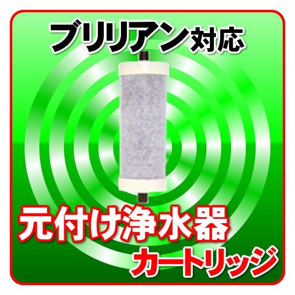 ブリリアン・H 元付け浄水器 戸建用（屋外） 浄水器カートリッジ｜東郷