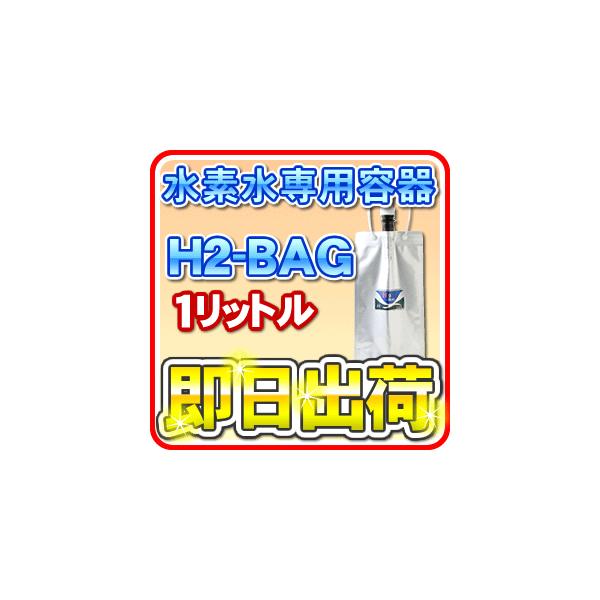 H2-BAG 1bg fp^ۑe iGC`c[obOj uΉv