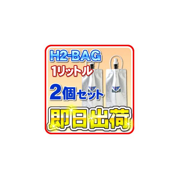 H2-BAG 1bg fp^ۑe iGC`c[obOj u2ZbgvuΉv