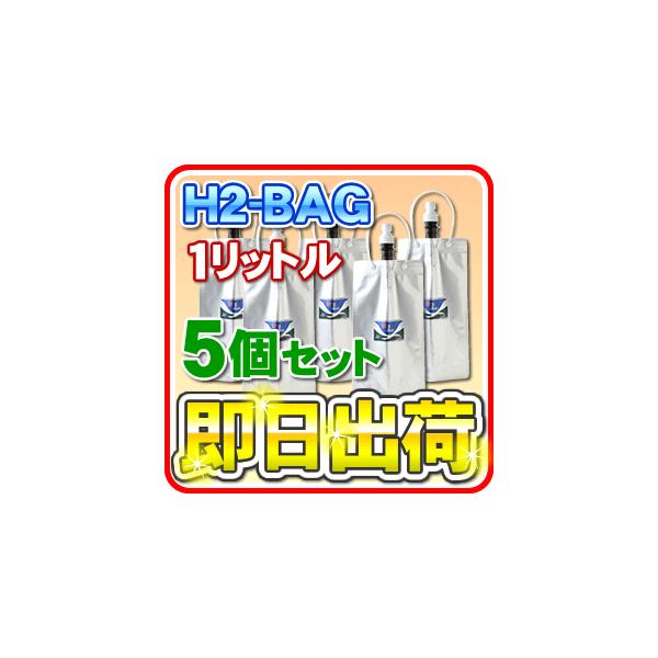 H2-BAG 1bg fp^ۑe iGC`c[obOj u5ZbgvuΉv