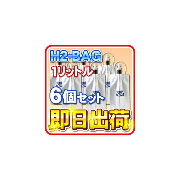 H2-BAG 1bg fp^ۑe iGC`c[obOj u6ZbgvuΉv