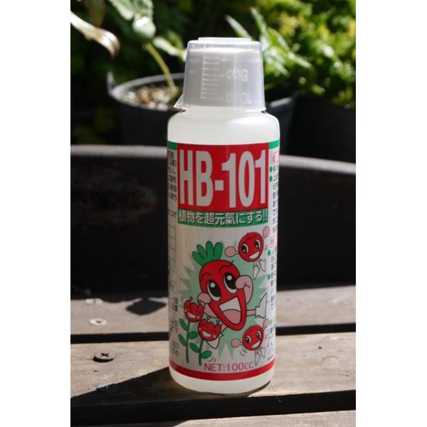 Hb 101 100 天然 植物活力液 100cc Hb 101 活力剤 有機 活性剤 天然 Buyee Buyee 日本の通販商品 オークションの代理入札 代理購入
