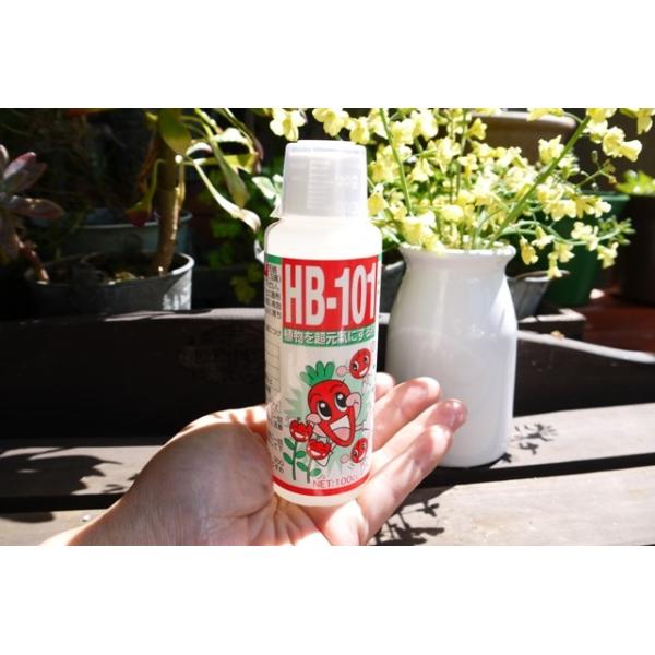 Hb 101 100 天然 植物活力液 100cc Hb 101 活力剤 有機 活性剤 天然 Buyee Buyee 日本の通販商品 オークションの代理入札 代理購入