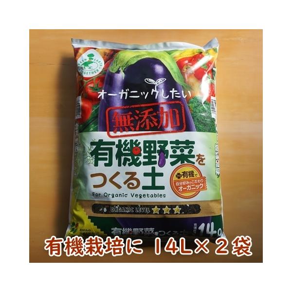 L@؂y PSL Q L@͔| y 