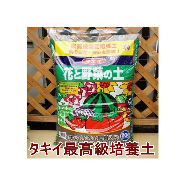 ԂƖ؂̓y 20L 1 ^LCō||{y 