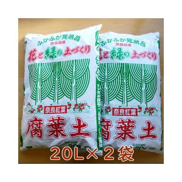 ty 20k×2 v40L ޗǍgt Y y 