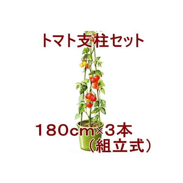 トマト支柱セット 180ｃｍ 組み立て式 支柱 トマト 550 Nicoco プランター菜園を楽しむ会 通販 Yahoo ショッピング