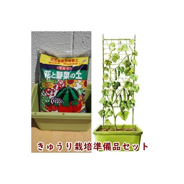 キュウリ 支柱 セットの人気商品 通販 価格比較 価格 Com
