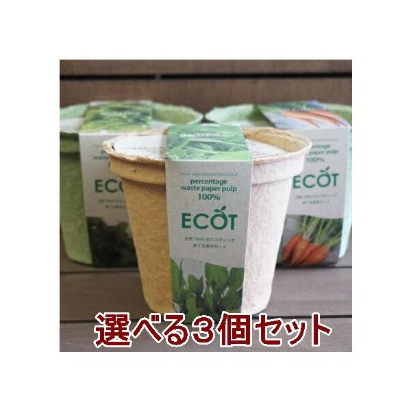  ͔|Lbg IׂRZbg GRbgM 