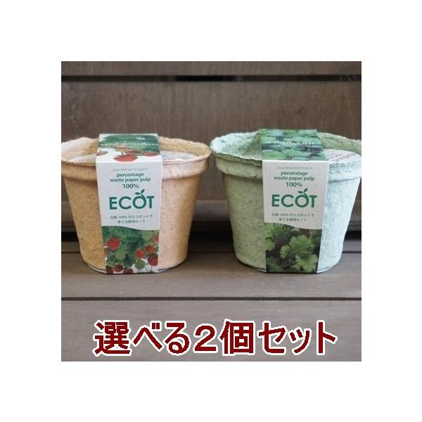 n[u ͔|Zbg IׂQZbg GRbgS 