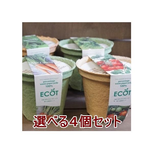  ͔|Lbg IׂSZbg GRbgM 