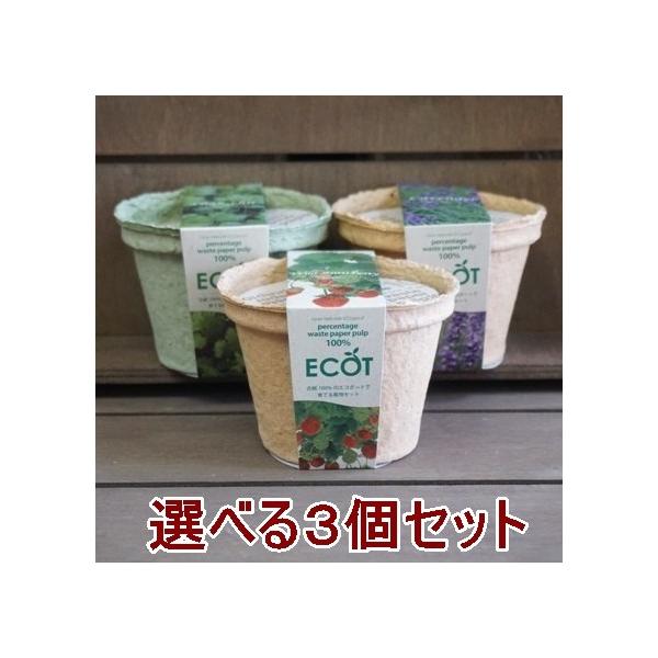 n[u ͔|Lbg IׂRZbg GRbgS 