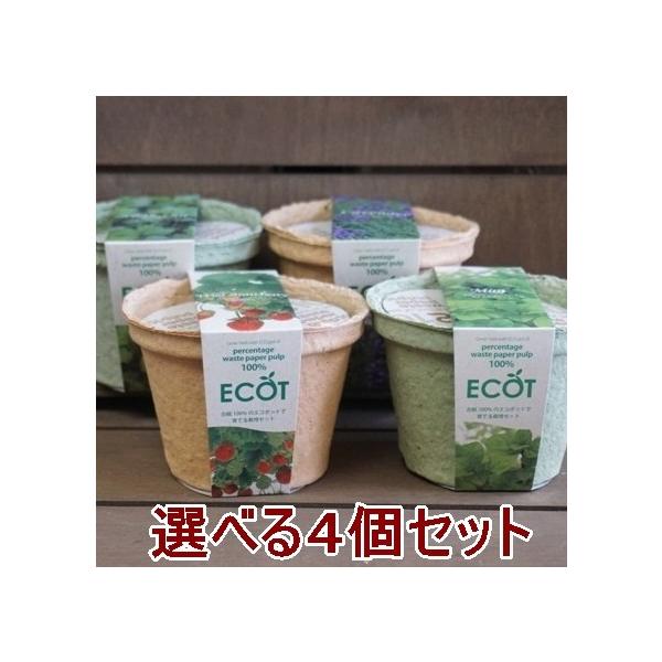 n[u ͔|Zbg IׂSZbg GRbgS 