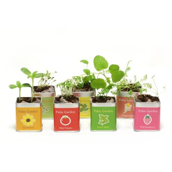 イタリアンパセリ栽培セット パームガーデン 栽培キット Buyee Buyee Japanese Proxy Service Buy From Japan Bot Online