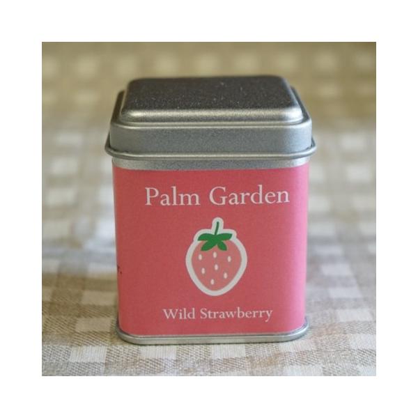 ワイルドストロベリー栽培セット ワイルドストロベリー 栽培キット Nicoco プランター菜園を楽しむ会 通販 Yahoo ショッピング