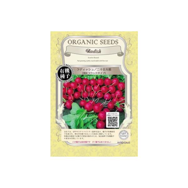 �L�@��q �Œ�� ���f�B�b�V�� �� ��\���卪 �[�g���E���h�^�C�v 2�� ���� 2026�N11������