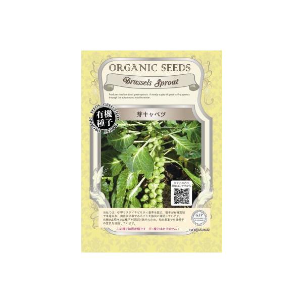 L@q Œ Lxc  q 肫ׂ  100 2026N5