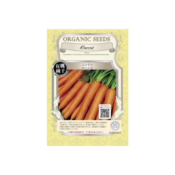 L@q Œ jW ieX 1.5  ɂ񂶂 lQ 2026N5