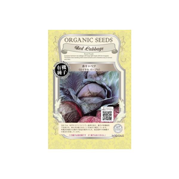 L@q Œ ԃLxc Cp[v 60  2026N5