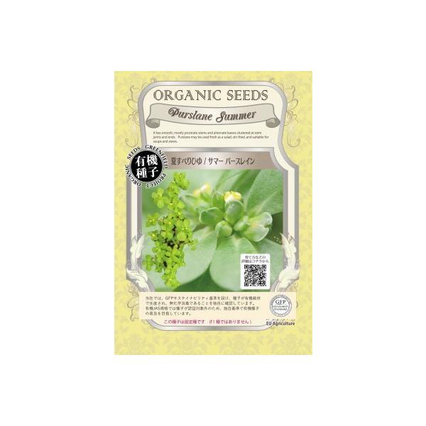 L@q Œ ĂׂЂ T}[p[XC 0.3  2026N5