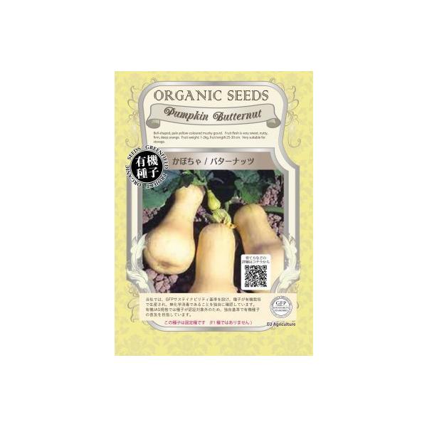 L@q Œ ڂ 20  o^[ibc J{` 2026N5