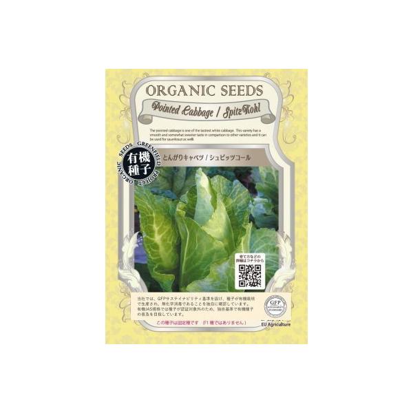 L@q Œ Ƃ񂪂Lxc 60  VsbcR[  2026N5