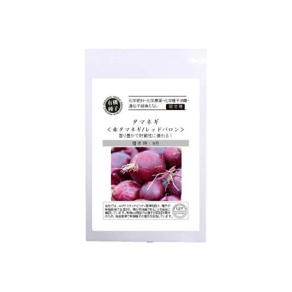 L@q Œ ԋʂ˂ bho 1.0 ԃ^}lM 2026N5