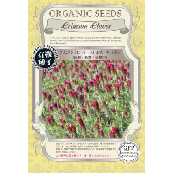 ☆　追跡可能メール便「ゆうパケット」の注意点　☆＊「ゆうパケット」は、追跡サービスがついているメール便です。＊ポスト投函です。配達日、配達時間等のご指定ができません。＊厚さ３ｃｍを越える商品を同梱できません。＊ポスト投函のため、郵便事故の補...