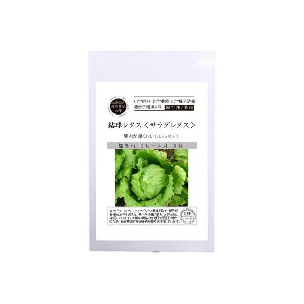 L@q Œ ^X R͔|̎ T_^X30 2026N5