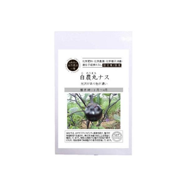 R_@̎ L@q Œ _ۃiX 10  Ȃ 2026N5