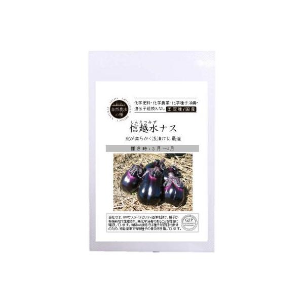 R_@̎ L@q Œ MziX 10  Ȃ 2026N5