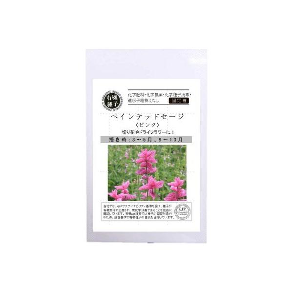 L@q Œ yCebhZ[W sN 200  GfBut[ 2026N5