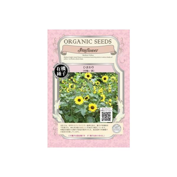 L@q Œ Ђ܂ 60    q} q 2026N5